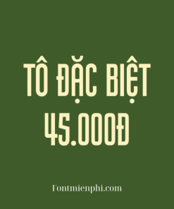 Font Việt hóa 1FTV VIP Pretender