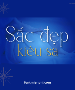 Font Việt hóa 1FTV VIP Borcha