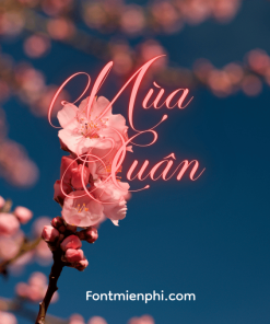 Font Việt hóa 1FTV VIP Perfecto Calligraphy ,Font tết